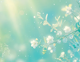 五蕴15（临时版）